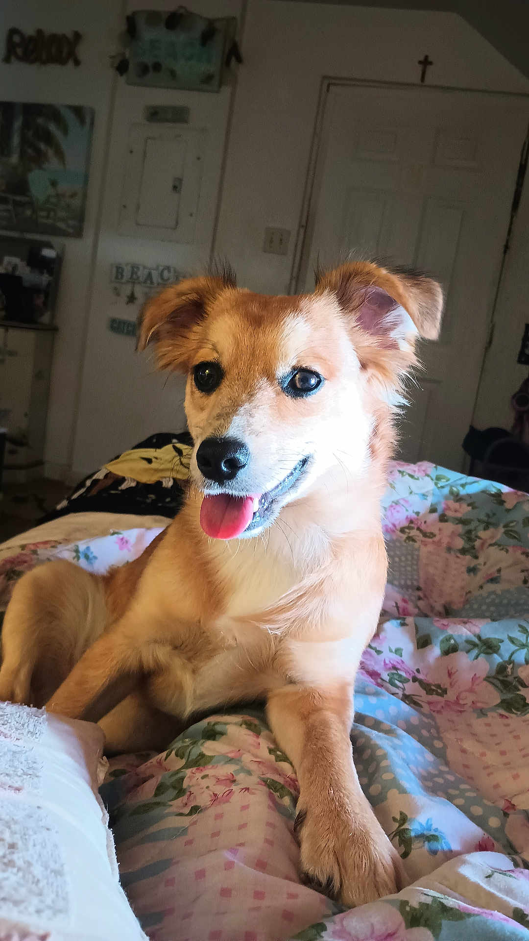 Josie