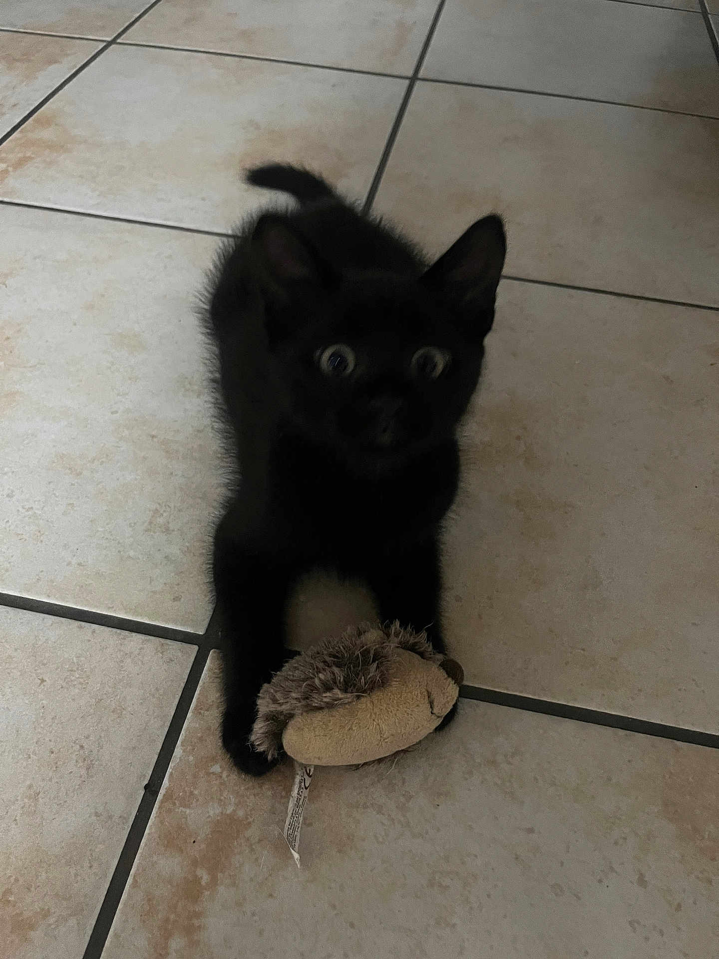 Onyx