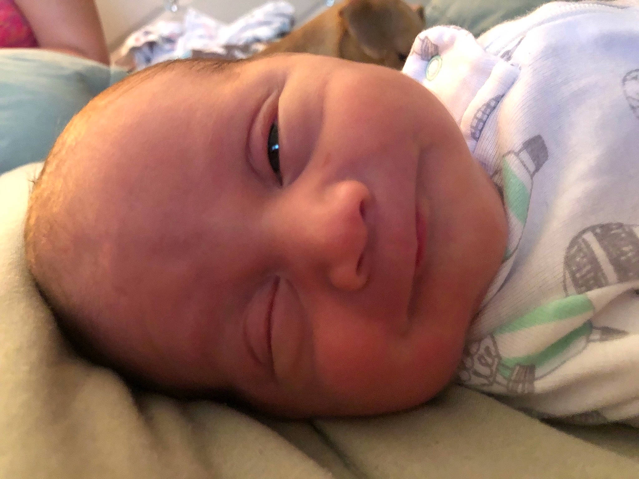 Bowen is registered to the contest to win money with this photo: baby, baby_toddler_clothing, bedtime, cheek, child, close_up, comfort, eye, eyebrow, eyelash, forehead, grass, happy, iris, lip, mouth, nose, person, skin, smile