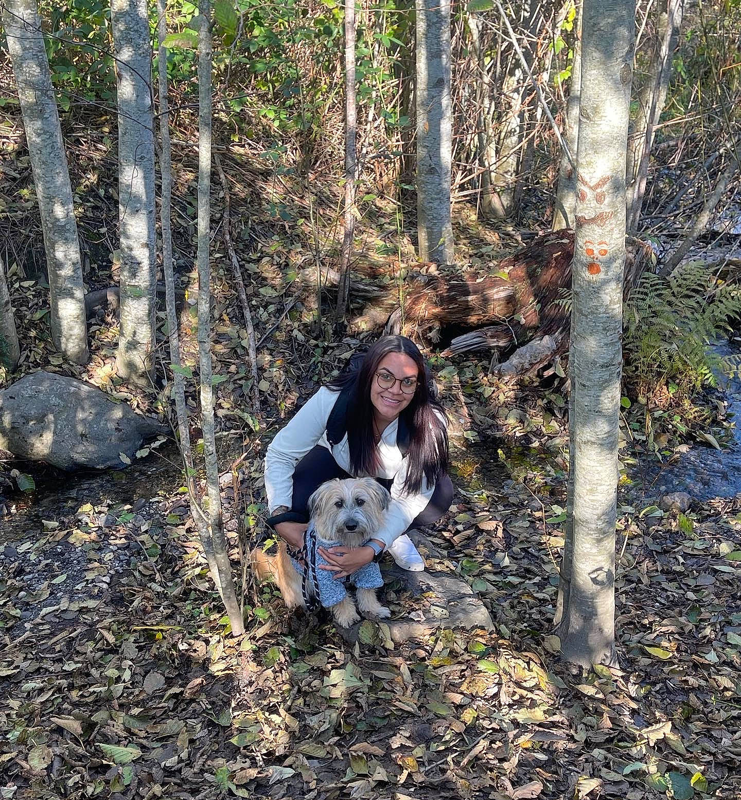 Milo joined the competition — help win amazing prizes! carnivore, companion_dog, deciduous, dog, dog_breed, fawn, forest, grass, happy, natural_landscape, people_in_nature, plant, smile, soil, temperate_broadleaf_and_mixed_forest, tree, trunk, twig, wood, woodland