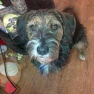 Charlie is registered to the contest to win money with this photo: