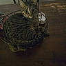 Amora joined the competition — help win amazing prizes! animal, basket, black_stripes, brown, cat, chair, cozy, curious, domestic_cat, feline, fur, household, indoor, pet, resting, side_eye, striped, tabby_cat, whiskers, wooden_table