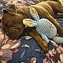 Sadie joined the competition — help win amazing prizes! dog, sleeping, brown_dog, plush_toy, blue_toy, bunny_toy, floral_blanket, cozy, pet, resting, cute, indoor, animal, soft_toy, cuddle, paw, ears, closeup, bed, relaxed