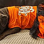 dog, pet, orange_clothing, costume, tutu_skirt, brown_dog, resting, cute, indoor, fabric, textured_surface, animal, portrait, laying_down, small_dog, closeup, fur, ears, paw, couch