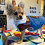 dog, small_dog, coat, clothing, table, tablecloth, indoor, pet, animal, fur, ears, standing, colorful, shelf, photo_frame, door, home, cute, domestic, portrait