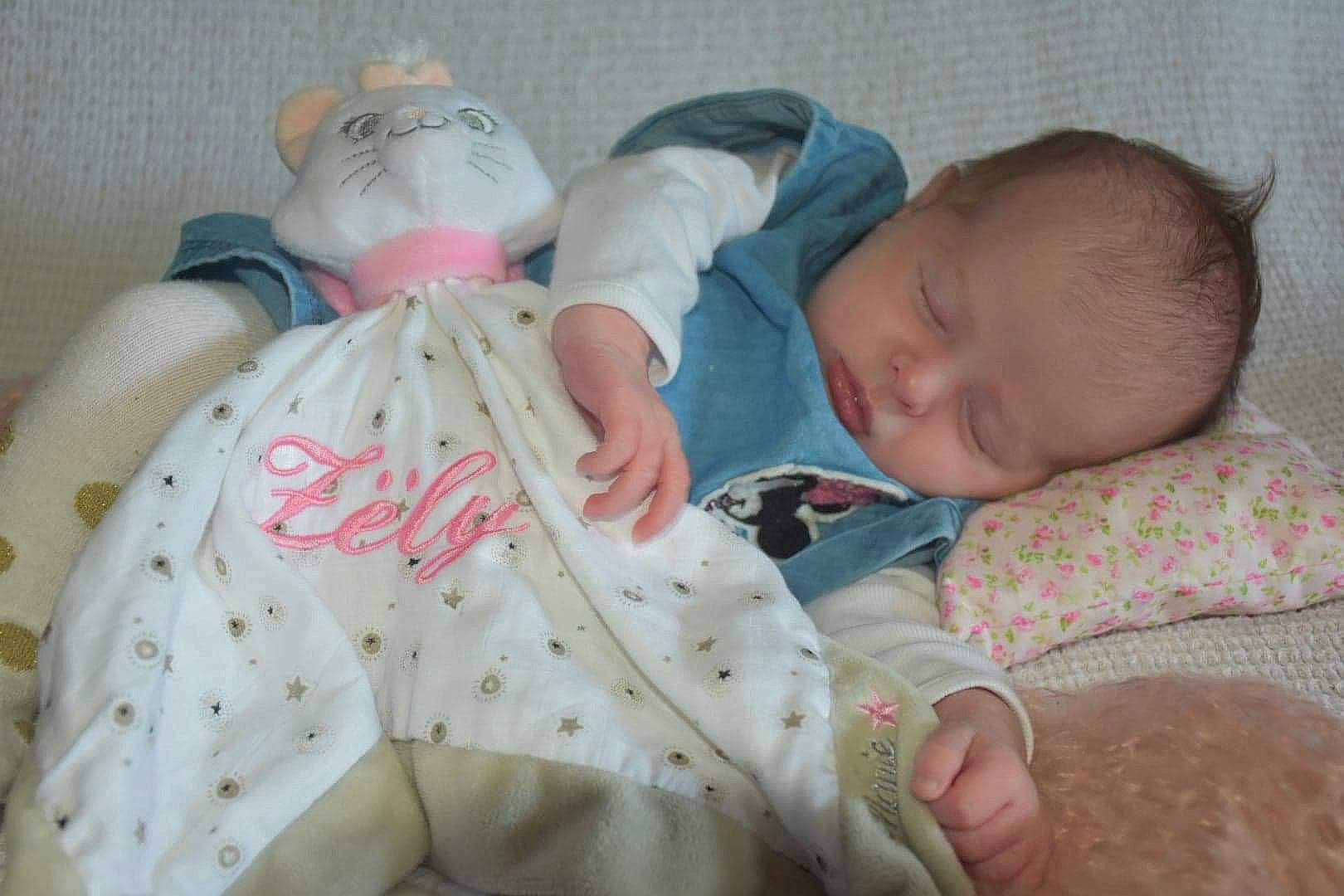 Zëly participe au concours pour gagner de l'argent avec cette photo : baby, baby_sleeping, baby_toddler_clothing, bedding, bedtime, cheek, child, comfort, finger, head, human_body, linens, mammal, person, room, skin, sleeve, textile, toddler, toy