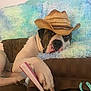 animal, black, brown, canine, comfortable, couch, cowboy_hat, dog, domestic, fluffy_blanket, headwear, indoor, lazy, pastel_colors, paw, pet, relaxed, remote_control, resting, white