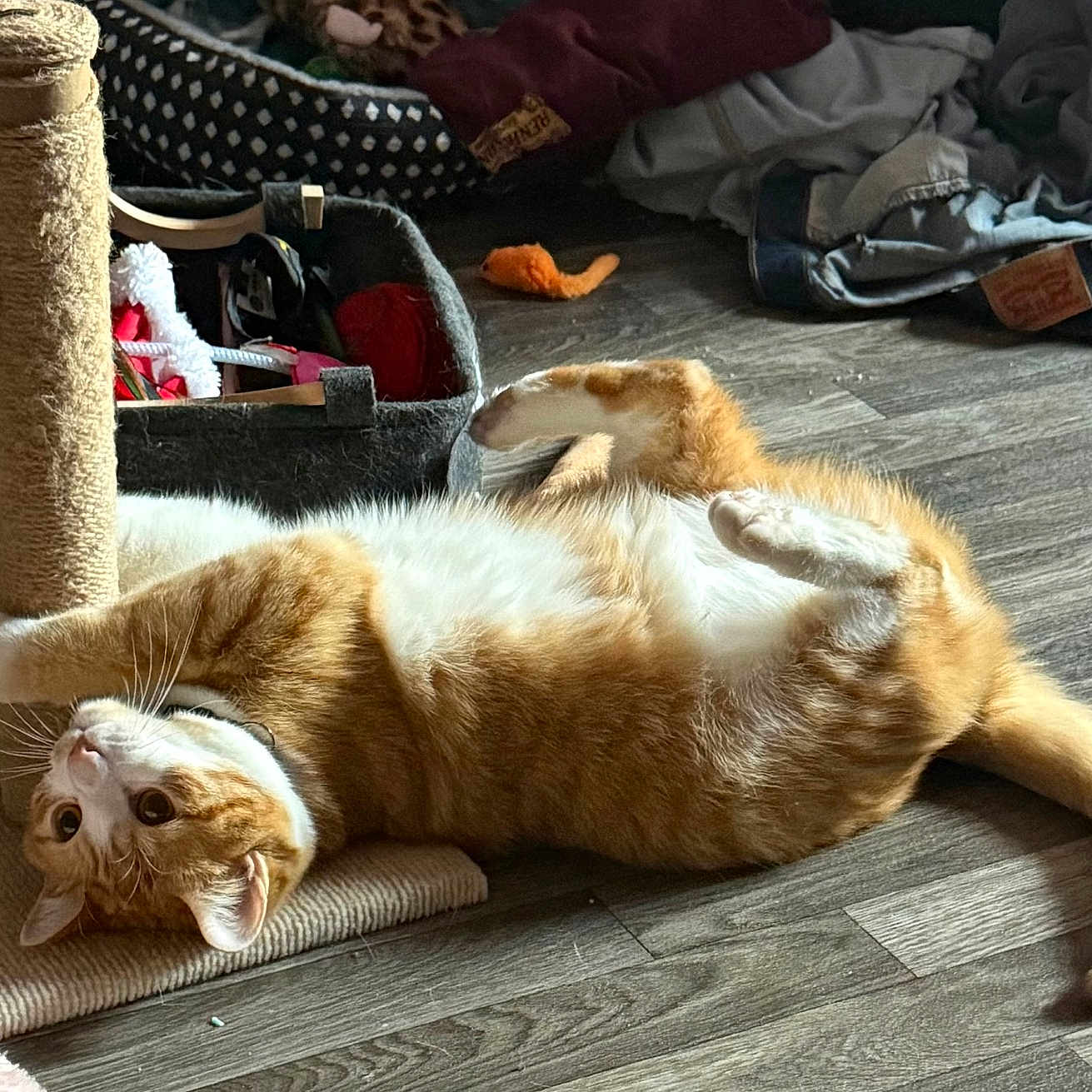 Tito