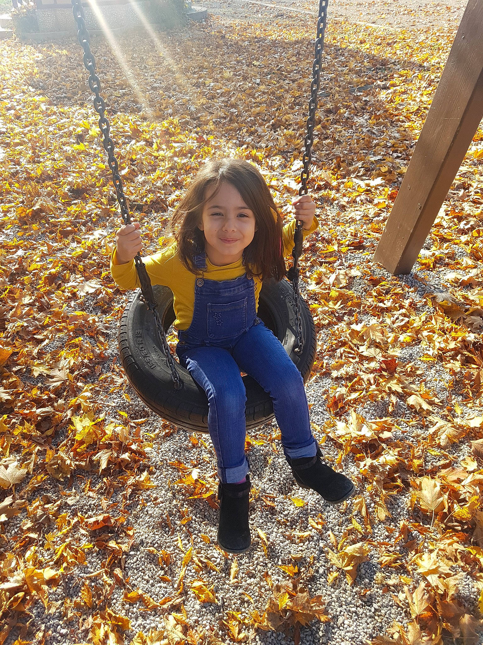 Yana participe au concours pour gagner de l'argent avec cette photo : autumn, child, deciduous, fun, girl, grass, happiness, joy, leaf, person, plant, play, recreation, smile, sunlight, tree, yellow