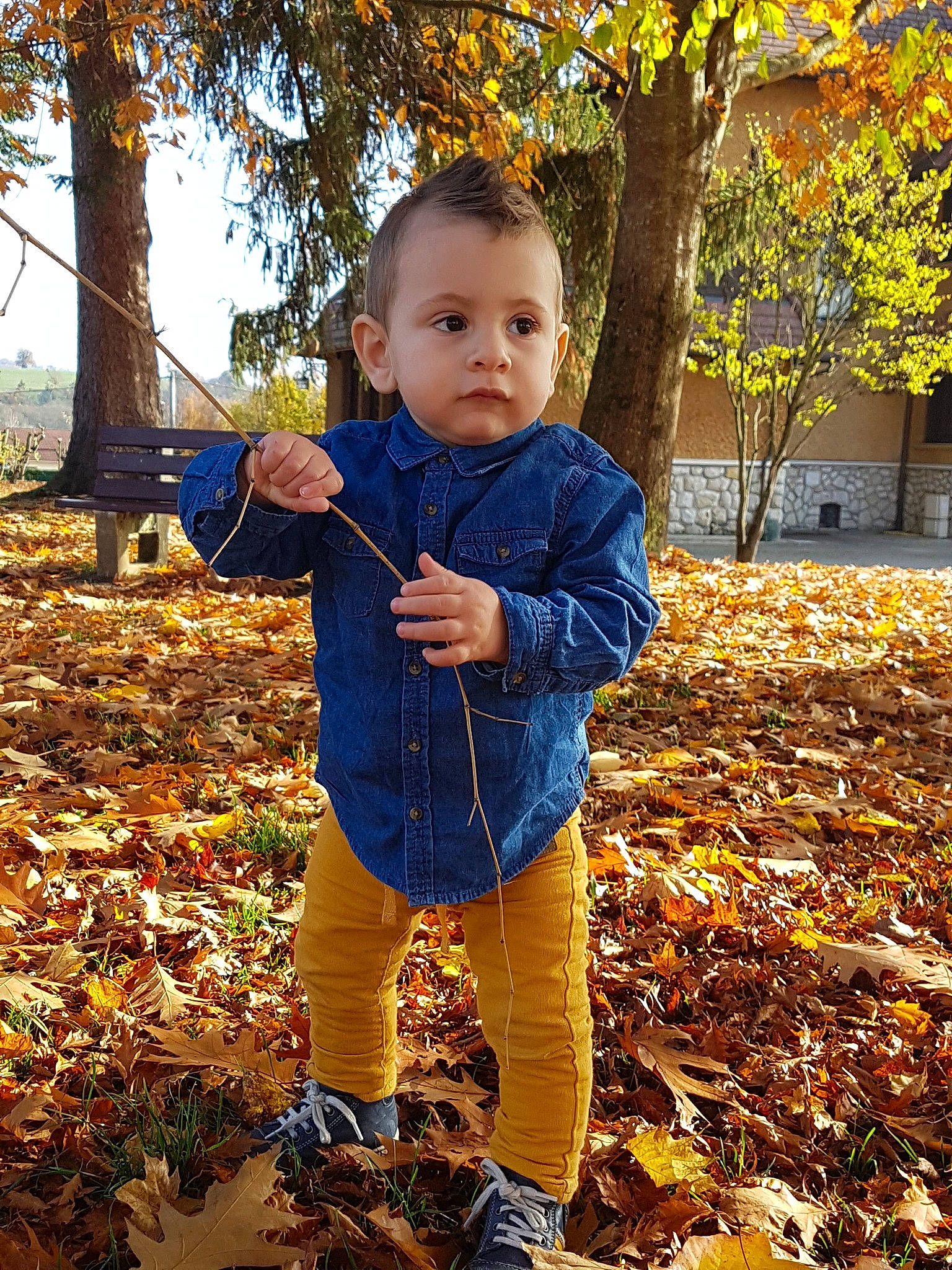 Simão a rejoint le concours — aidez-le/la à gagner de superbes lots ! autumn, boy, child, fun, girl, grass, leaf, nature, outerwear, person, plant, play, recreation, smile, toddler, tree, woody_plant, yellow