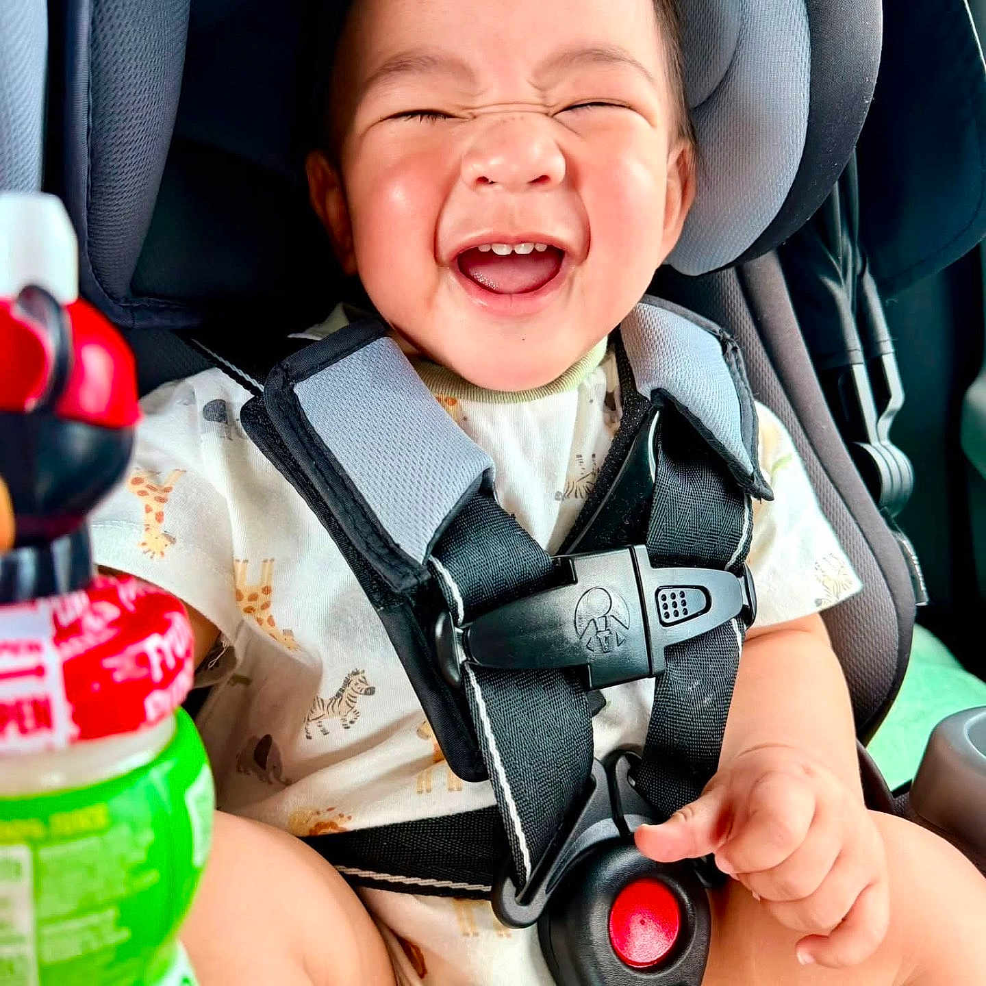 Hamlin is registered to the contest to win money with this photo: baby, child, infant, laughing, smiling, portrait, car_seat, safety_harness, buckled, vehicle, indoors, close_up, face, eyes_closed, happy, sitting, bottle, colorful, casual_clothing, daylight