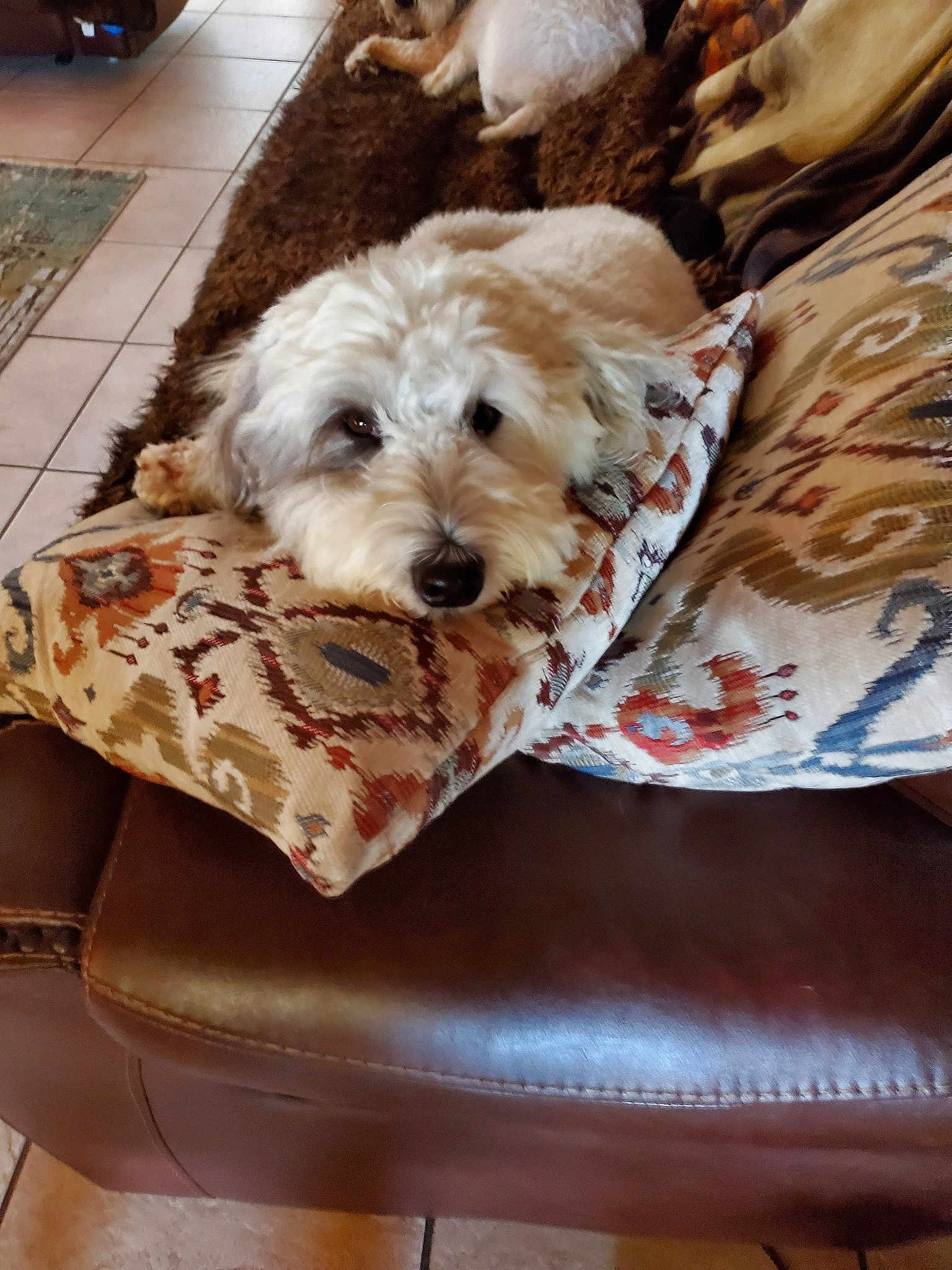 Mia