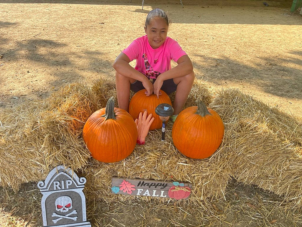 Mariah is registered to the contest to win money with this photo: _and_melon_family, _gourd, calabaza, cucumber, cucurbita, food, gourd, grass, joy, leisure, local_food, natural_foods, person, plant, produce, pumpkin, shorts, soil, squash, t_shirt