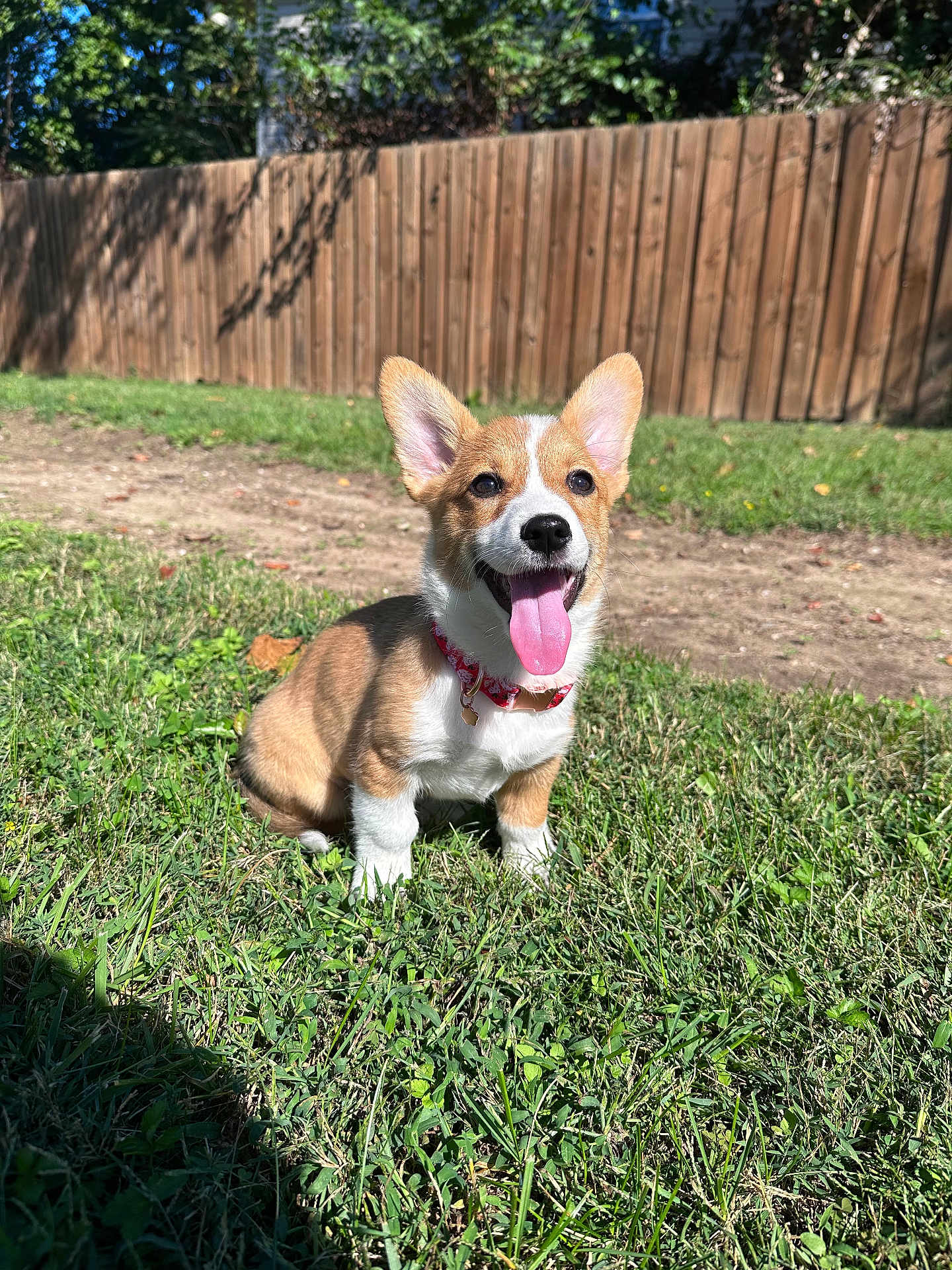 Winnie
