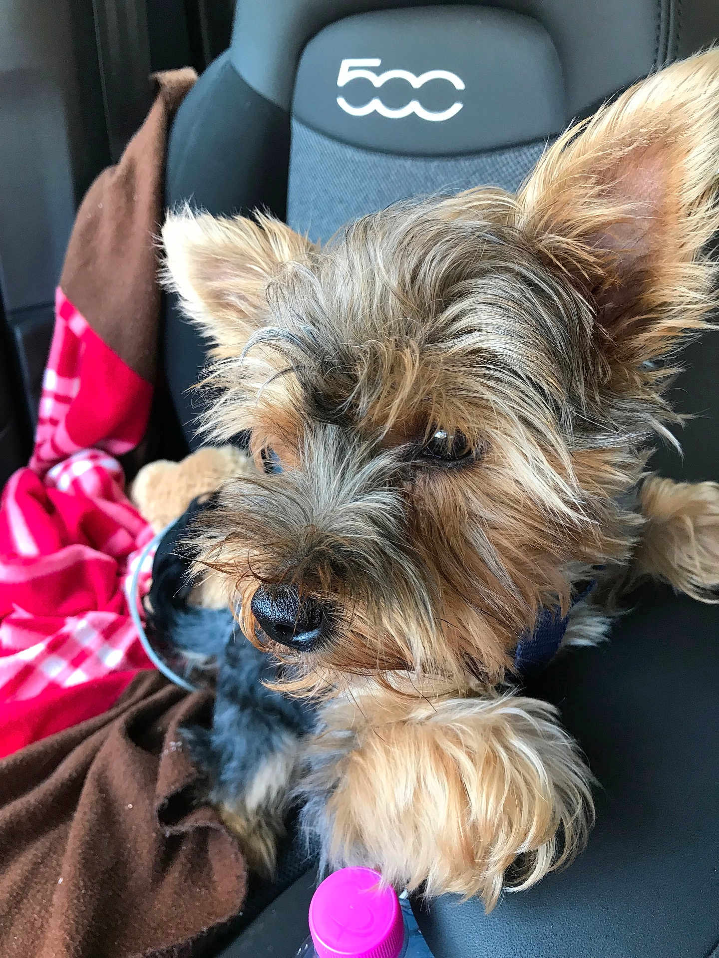 Oscar