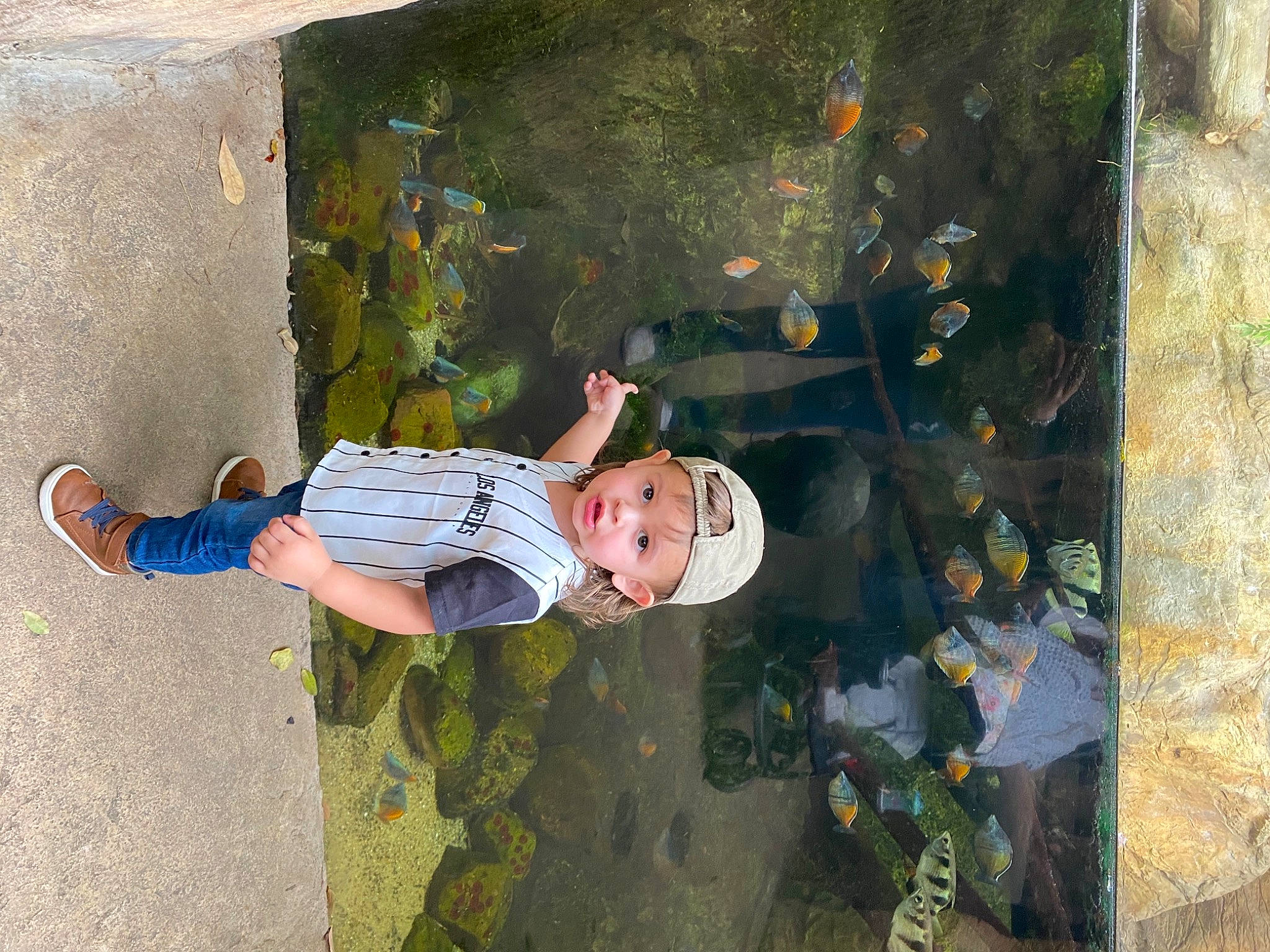 Liam is registered to the contest to win money with this photo: child, fun, grass, hat, headwear, leaf, leisure, organism, paint, people_in_nature, person, plant, play, recreation, sitting, t_shirt, toddler, tree, visual_arts, wall