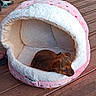 Jody a rejoint le concours — aidez-le/la à gagner de superbes lots ! puppy, dog, pet_bed, plush, pink, white, wooden_deck, resting, small_dog, cute, cozy, animal, domestic_animal, indoor_outdoor, furry, young_dog, relaxed, soft, canine, bed