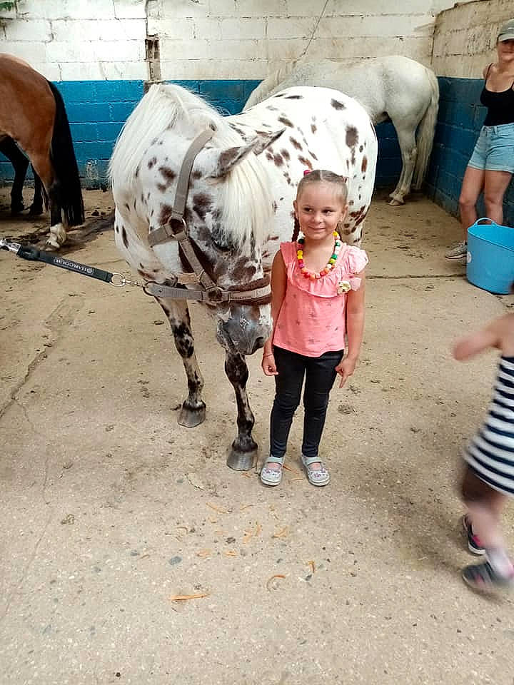 Milana participe au concours pour gagner de l'argent avec cette photo : bovine, child, dairy_cow, horse, joy, livestock, person, smile