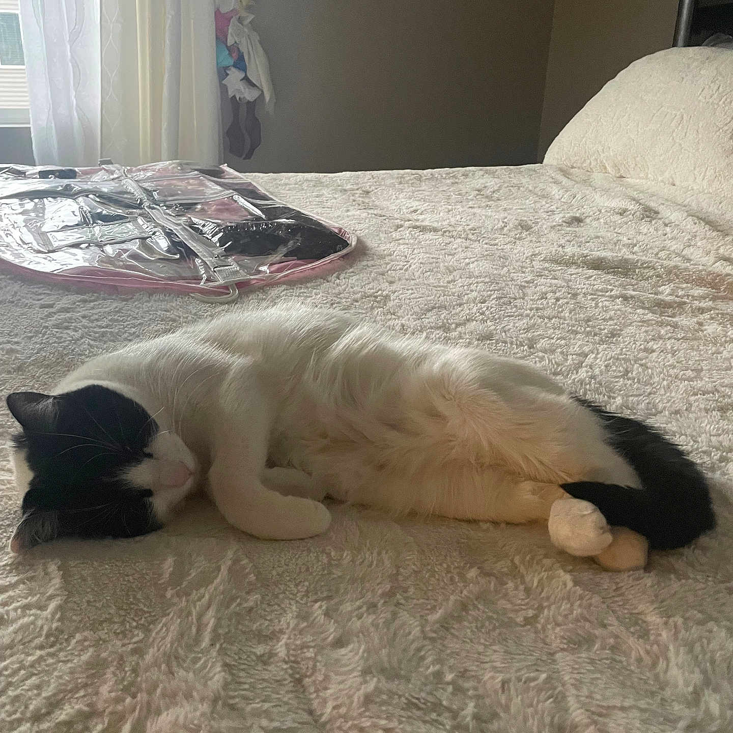 Coco