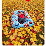 Darvin is registered to the contest to win money with this photo: baby, balloon, autumn, leaves, outdoor, child, blue_cushion, spiderman, red_balloon, grass, park, fall_colors, nature, seasonal, cute, comfort, toy, lying_down, striped_pants, red_shirt