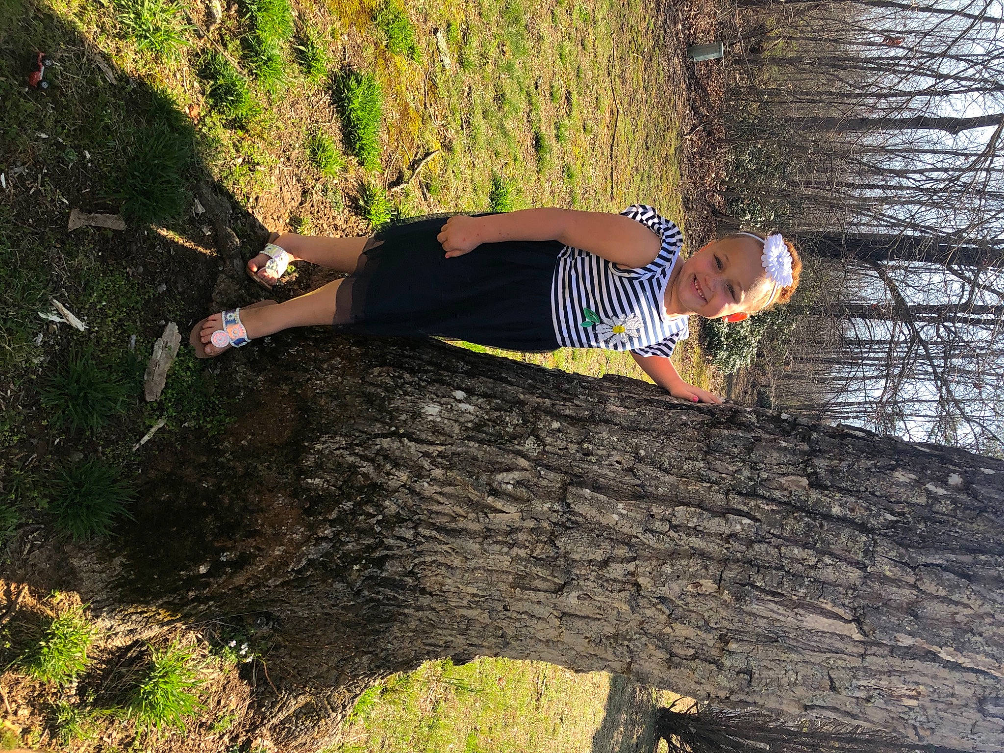 Nariyah is registered to the contest to win money with this photo: adventure, bedrock, forest, fun, grass, joy, landscape, leisure, nature, outcrop, people_in_nature, person, plant, recreation, rope, soil, sport_climbing, thigh, tree, trunk