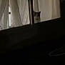 Duke joined the competition — help win amazing prizes! animal, cat, curtains, dark, feline, glass, home, indoor, lonely, mysterious, night, obscured, observation, peeking, pet, quiet, shadow, silhouette, still, window