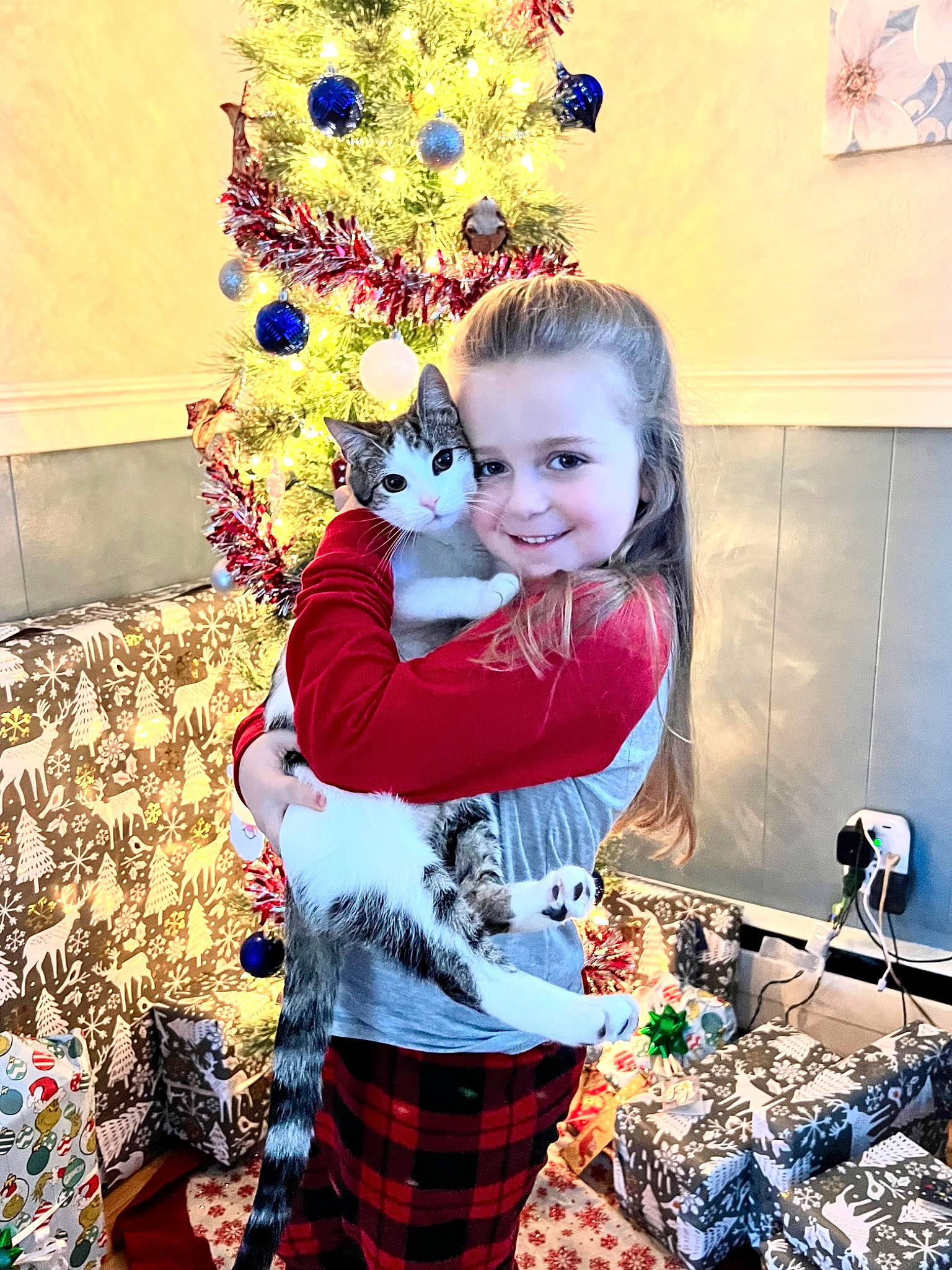 Kinley joined the competition — help win amazing prizes! blue, christmas_decoration, christmas_ornament, christmas_tree, event, fun, happy, holiday, holiday_ornament, joy, ornament, people, person, photograph, plaid, sleeve, smile, snapshot, tartan, toddler