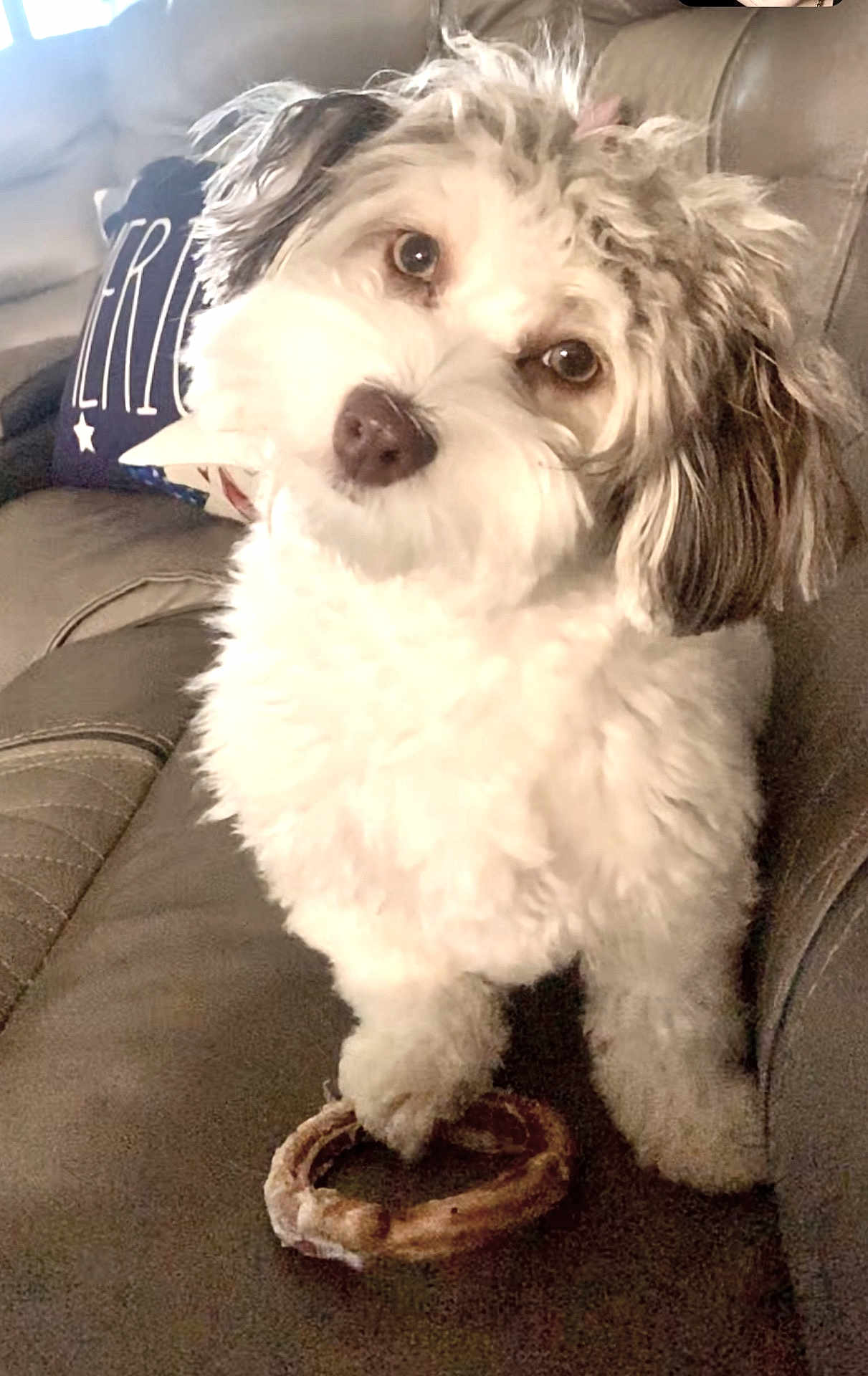 Chloe