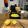 Snoopy participe au concours pour gagner de l'argent avec cette photo : appliance, black_dog, bowl, chair, counter, cup, cutting_board, dog, food_preparation, french_bulldog, indoor, jacket, kitchen, knife, pet, potatoes, table, tile_floor, white_wall, window