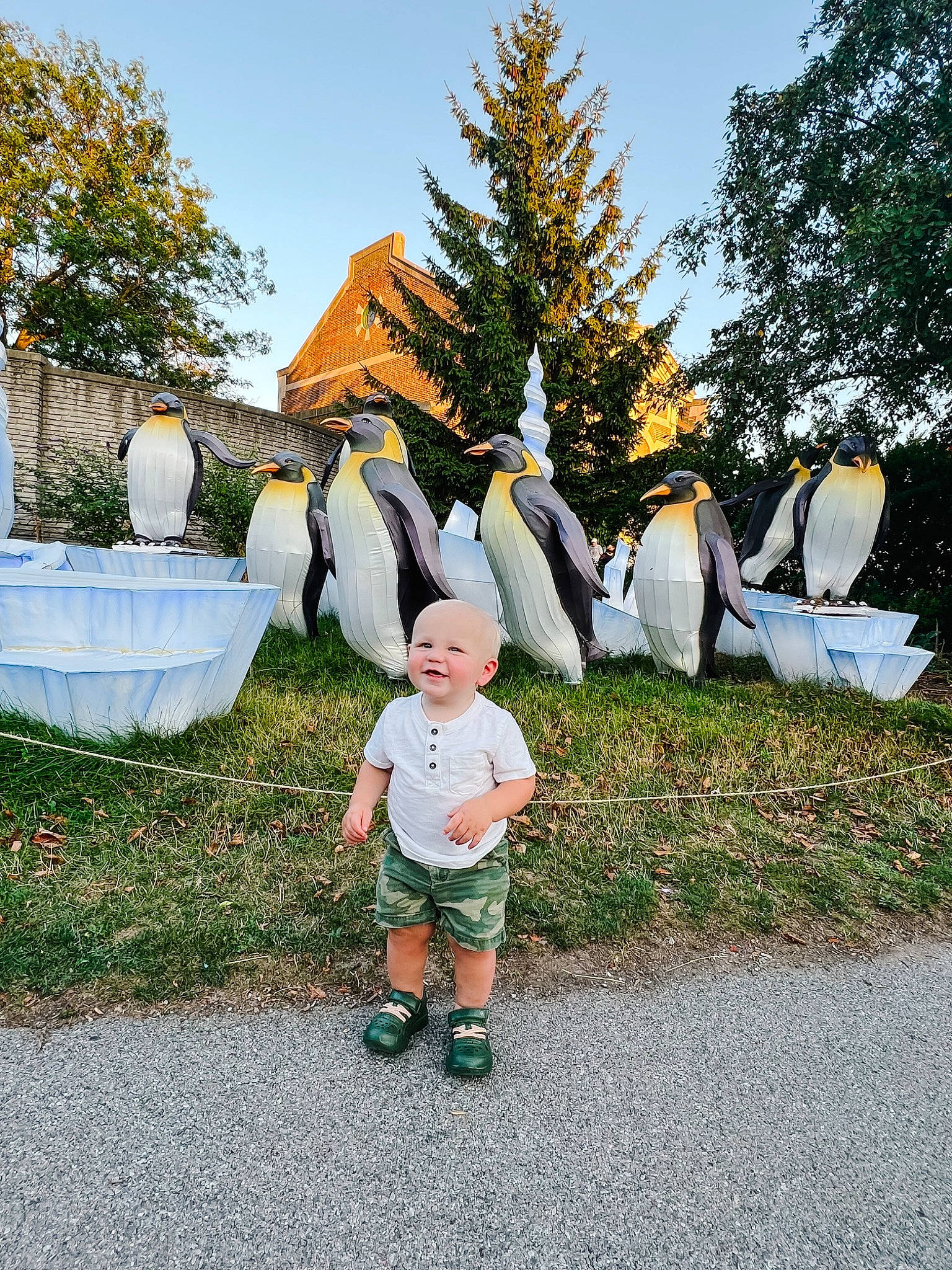 Zakary is registered to the contest to win money with this photo: botany, child, event, fun, garden, grass, happy, hat, joy, landscape, lawn_ornament, leisure, people_in_nature, person, plant, recreation, sky, toddler, tree, vacation