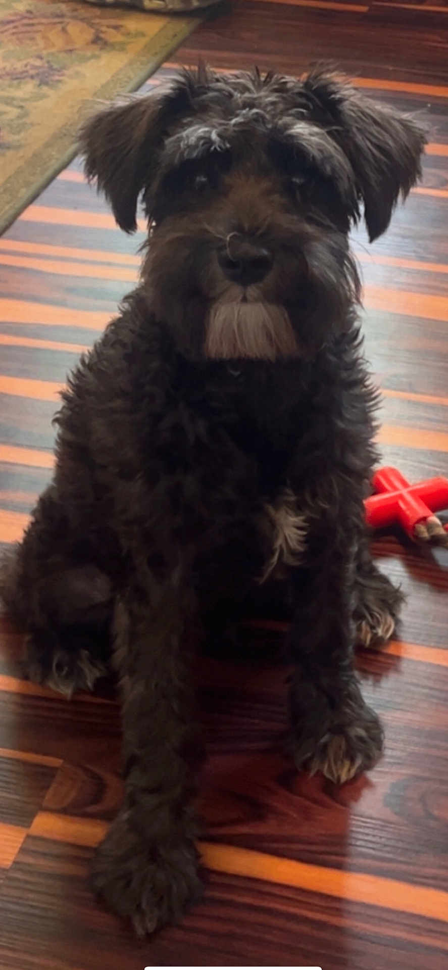 Bama