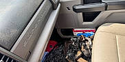 Rip joined the competition — help win amazing prizes! dog, sleeping, car_interior, passenger_seat, floor, harness, vehicle, resting, black_and_tan, fur, door_panel, gloves, plastic_container, cushion, leather_seat, closeup, pet, domestic_animal, relaxing, indoor