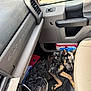 dog, sleeping, car_interior, passenger_seat, floor, harness, vehicle, resting, black_and_tan, fur, door_panel, gloves, plastic_container, cushion, leather_seat, closeup, pet, domestic_animal, relaxing, indoor