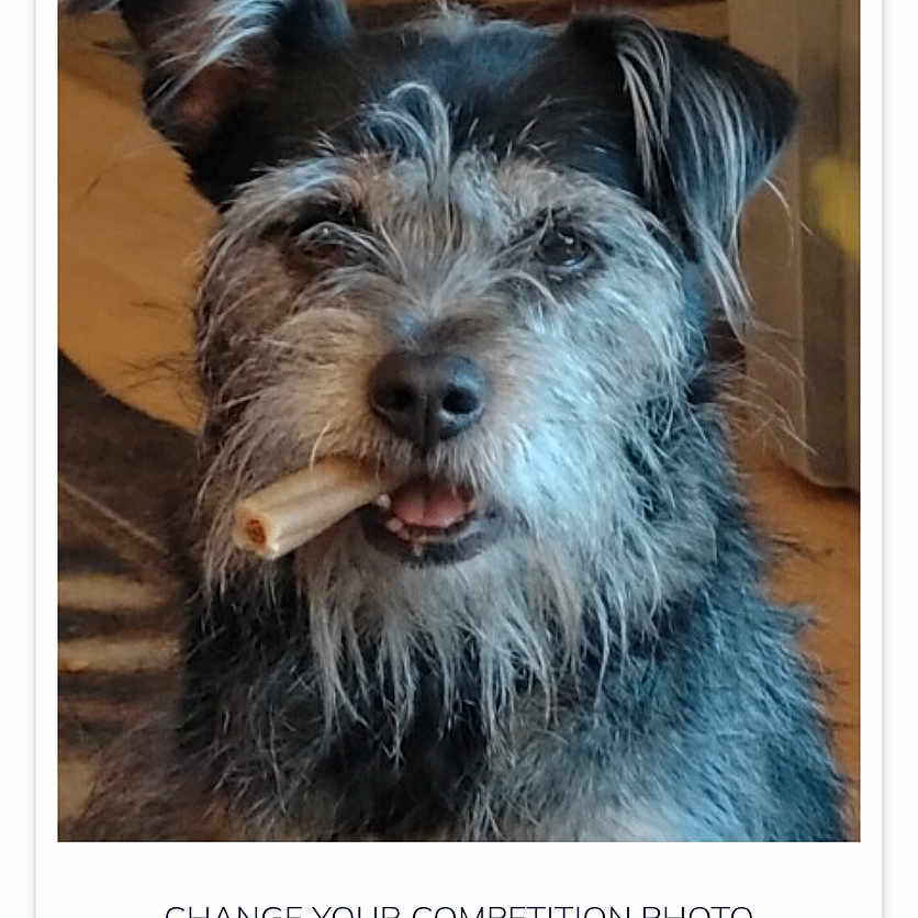 Taz