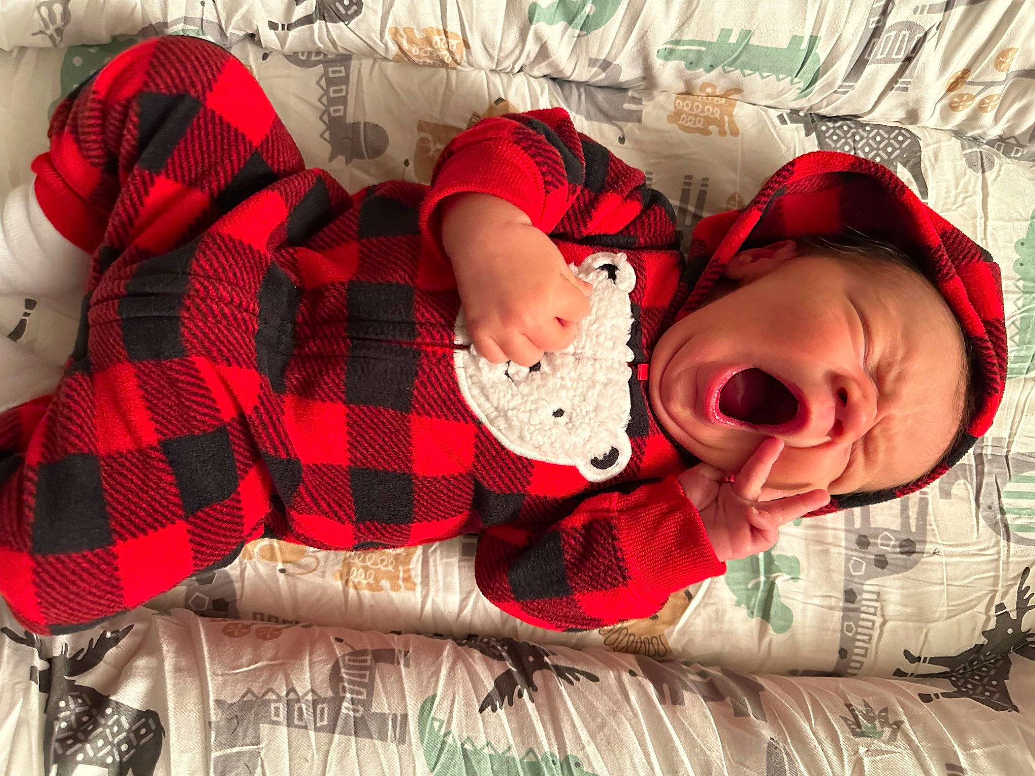 Hayes is registered to the contest to win money with this photo: baby, baby_toddler_clothing, carmine, child, comfort, fashion_accessory, happy, holiday, linens, mammal, outerwear, pattern, person, plaid, room, sleeve, sock, tartan, thigh, toddler
