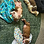 puppy, sleeping, blanket, dog_bed, green_rug, brown_puppy, white_puppy, striped_blanket, polka_dot, floor, indoor, cozy, cute, resting, animal, pet, fur, small_dog, sleep, soft