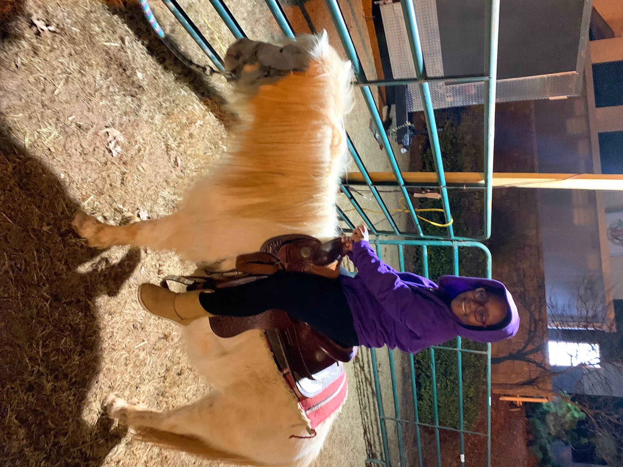 Phoenix joined the competition — help win amazing prizes! adventure, building, fun, joy, leisure, person, recreation, rope, shadow, smile, tail, tree, window, working_animal