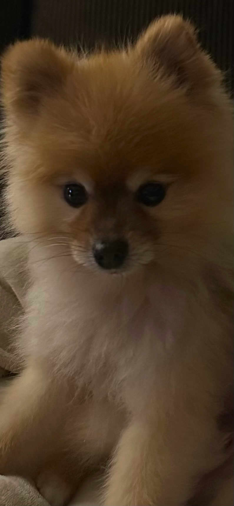 Sonny