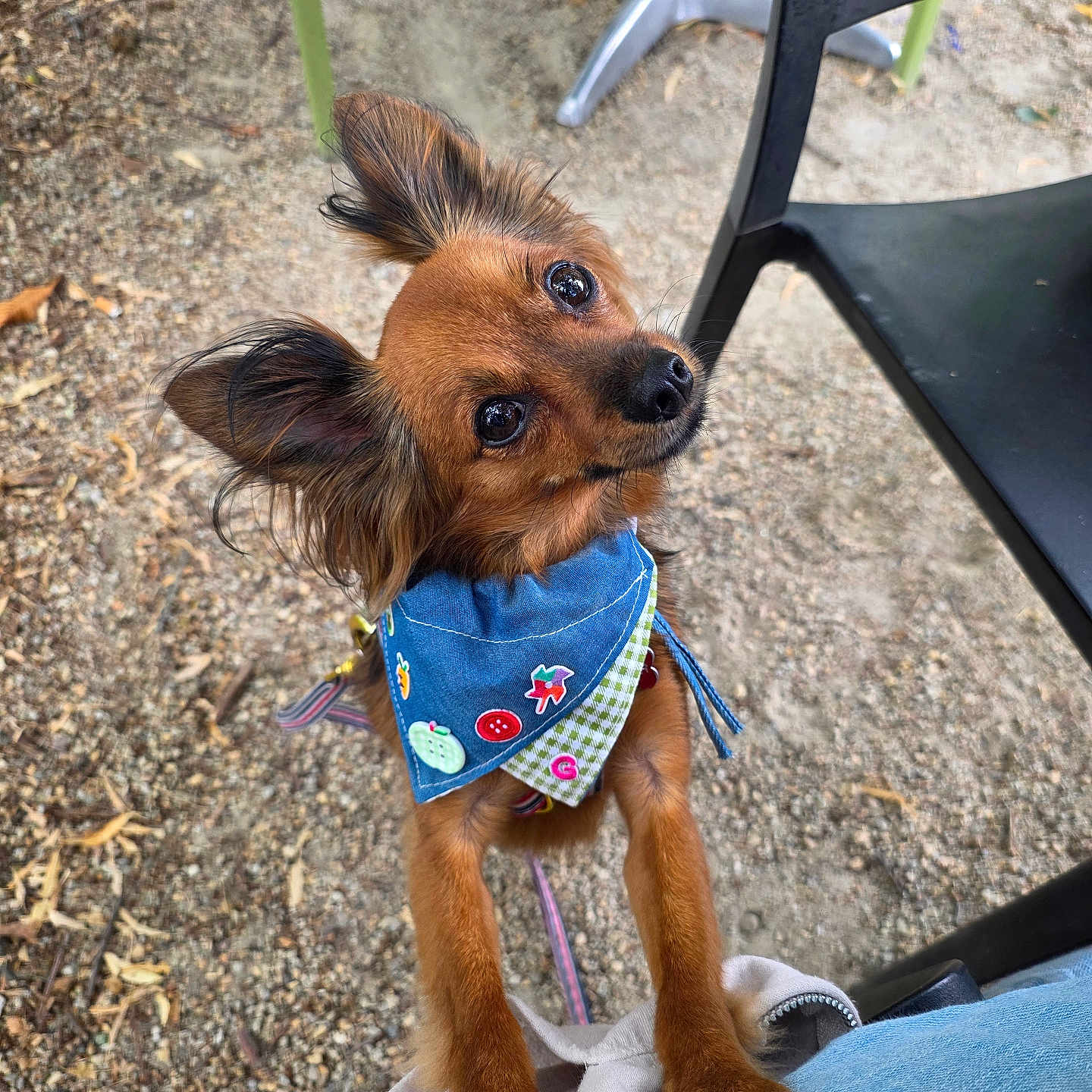 Gunter