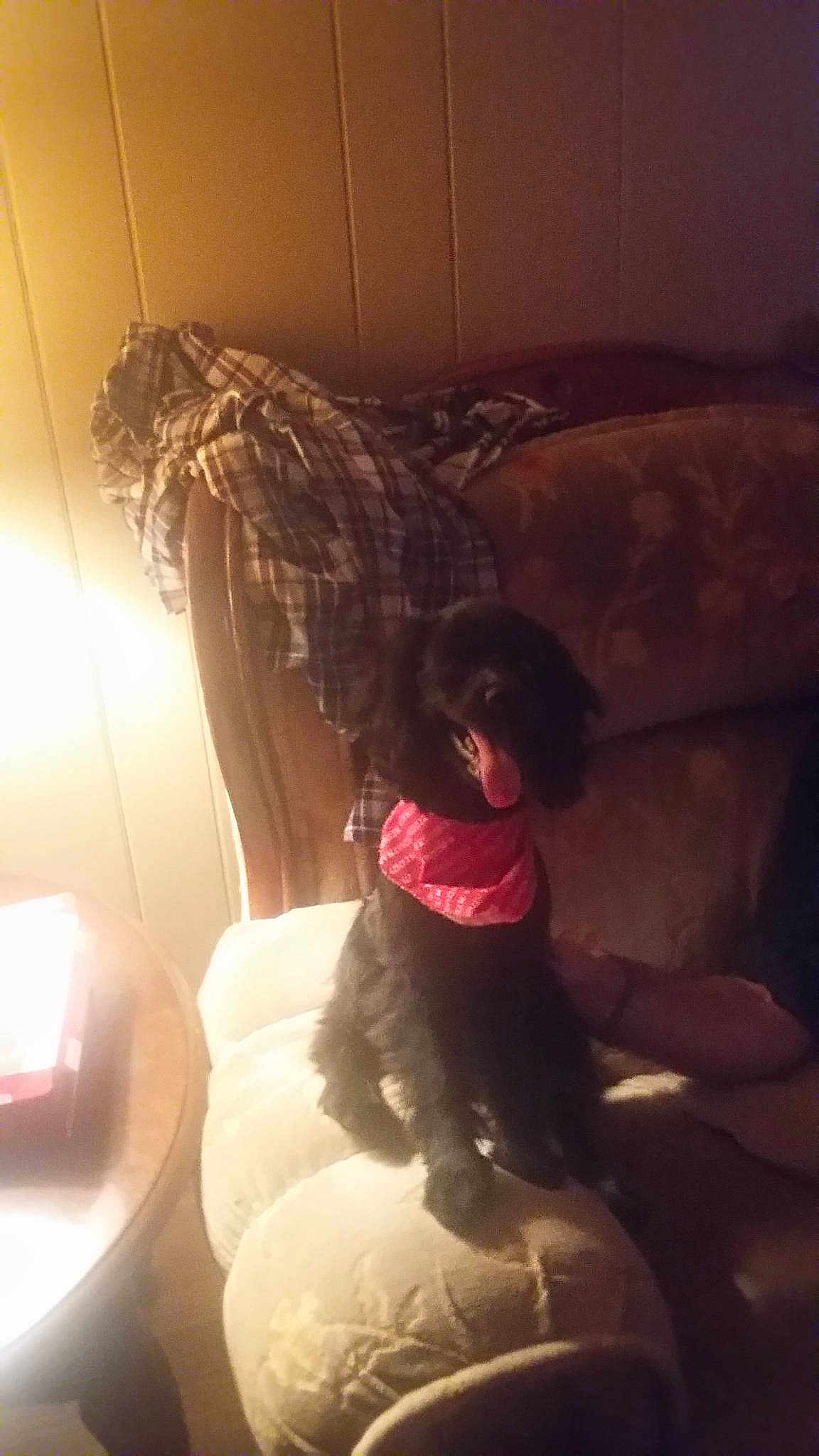 Marley