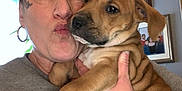 Reesie is registered to the contest to win money with this photo: person, puppy, dog, face, hand, tattoo, earring, clothing, indoor, wall, picture_frame, window, curtain, skin, expression, holding, pet, cute, portrait, closeup