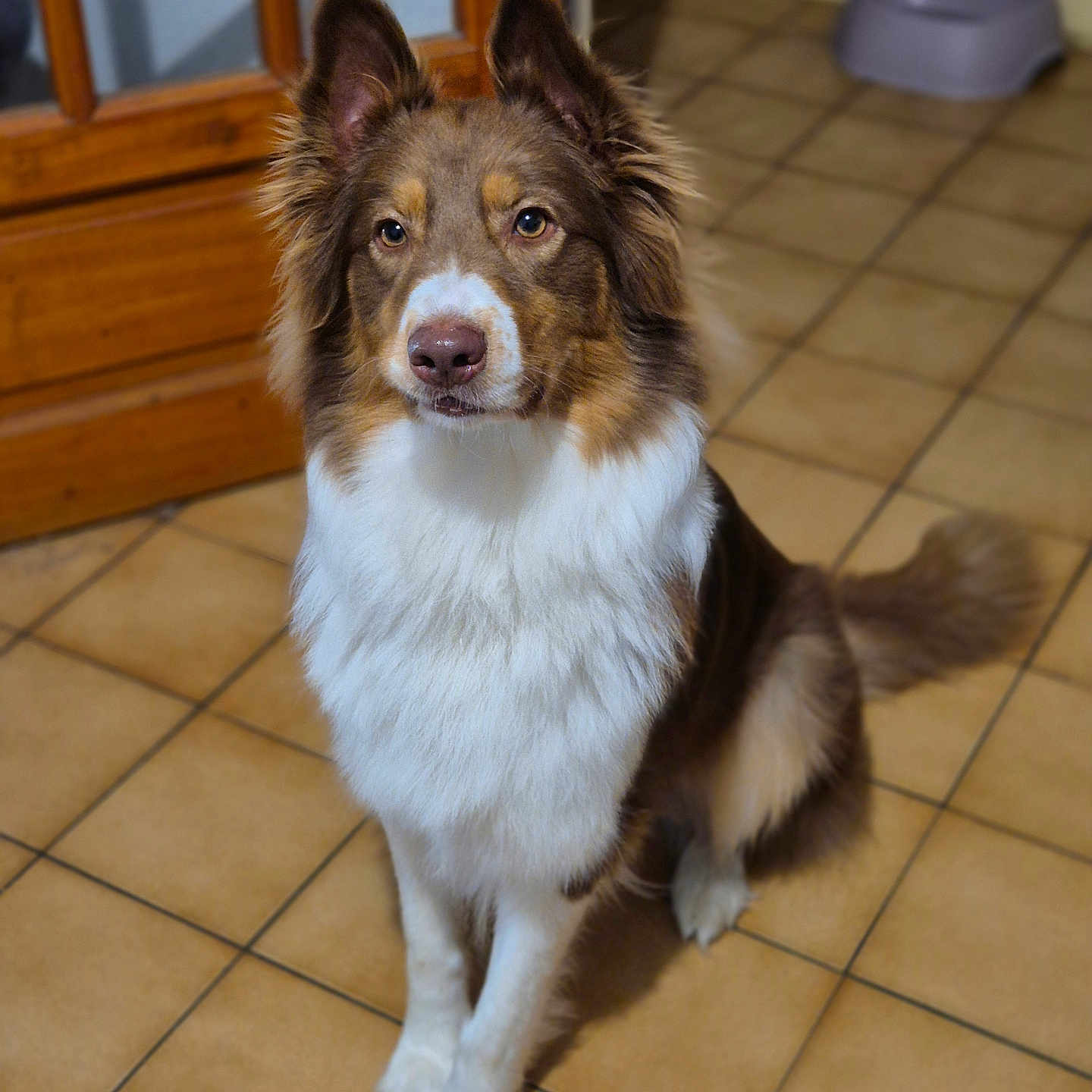 Vaiana