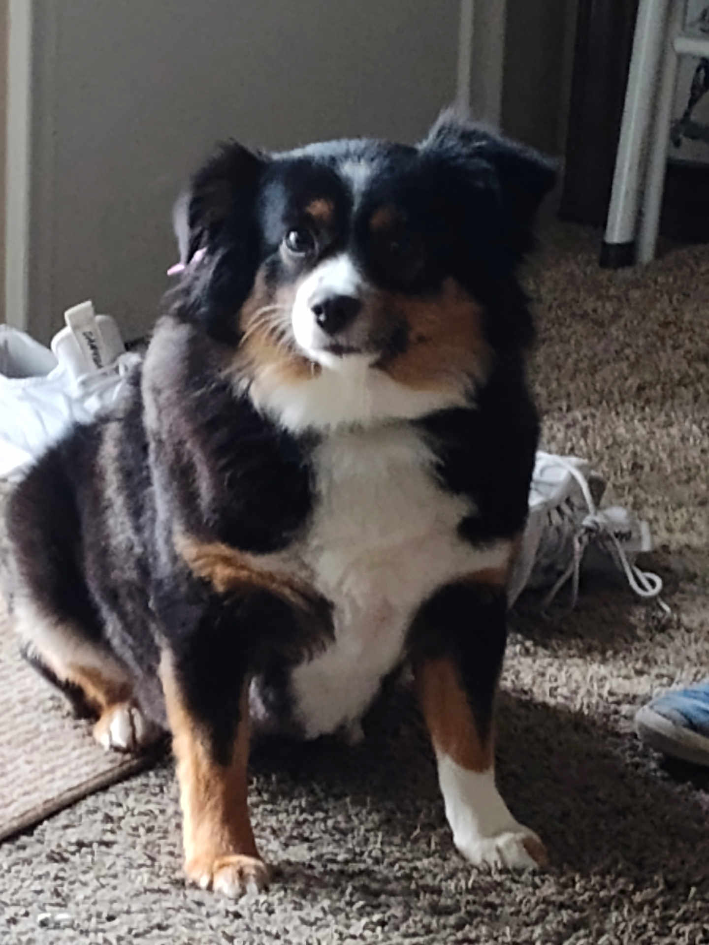 Bella