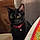 Phoebe