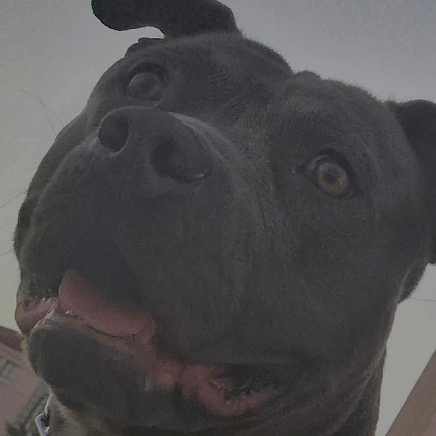 Nacho
