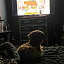 Bruno is registered to the contest to win money with this photo: dog, bed, blanket, television, cartoon, dresser, room, furniture, dim_light, pet, cozy, indoor, watching, fur, relaxing, dark, wood, household, comfort, animal
