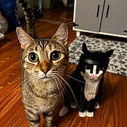 Finley joined the competition — help win amazing prizes! animal, cabinet, cat, closeup, curious, domestic, ears, eyes, feline, floor_rug, furniture, home, indoor, lego_cat_figure, pet, playful, tabby_cat, toy, whiskers, wooden_floor