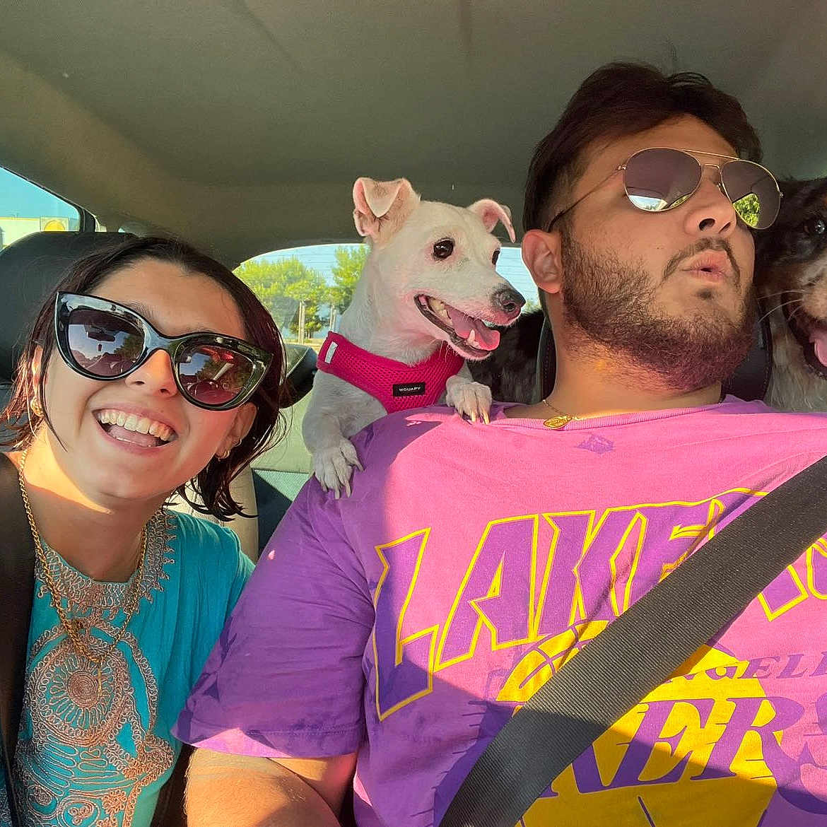 Maya participe au concours pour gagner de l'argent avec cette photo : beard, blue_shirt, car_interior, casual_clothing, daytime, dog, front_seat, happy, large_dog, person, pet, pink_shirt, road_trip, seatbelt, short_hair, small_dog, smiling, sunglasses, sunlight, travel