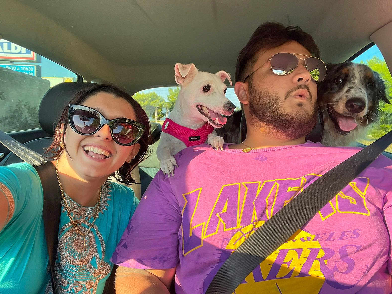 Maya participe au concours pour gagner de l'argent avec cette photo : car_interior, person, dog, smiling, sunglasses, seatbelt, happy, pet, road_trip, sunlight, casual_clothing, short_hair, beard, pink_shirt, blue_shirt, small_dog, large_dog, front_seat, travel, daytime