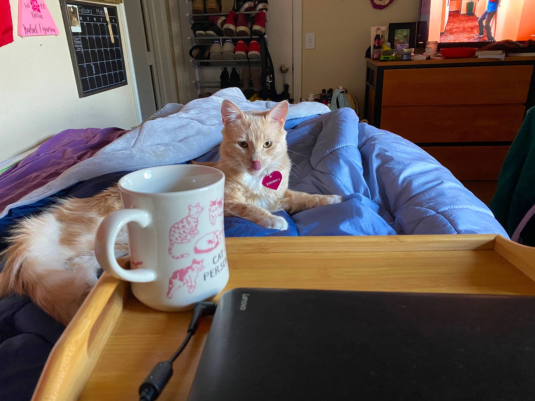 Banana is registered to the contest to win money with this photo: cabinetry, chest_of_drawers, coffee_cup, cup, dishware, drinkware, fur, furniture, home, home_accessories, interior_design, mug, plate, porcelain, room, serveware, tableware, teacup